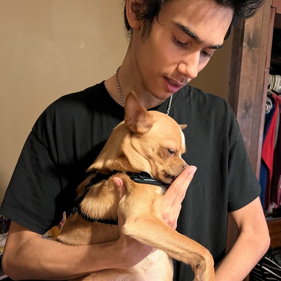 Live Show Listing💙🦋 - Picture 12 of 15